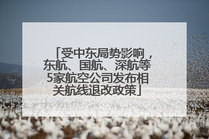 受中东局势影响，东航、国航、深航等5家航空公司发布相关航线退改政策