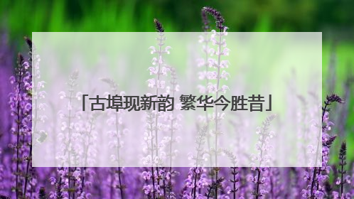 古埠现新韵 繁华今胜昔
