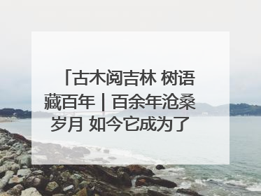 古木阅吉林 树语藏百年｜百余年沧桑岁月 如今它成为了“镇园之宝”