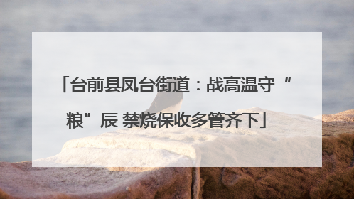 台前县凤台街道：战高温守“粮”辰 禁烧保收多管齐下