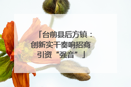 台前县后方镇：创新实干奏响招商引资“强音”