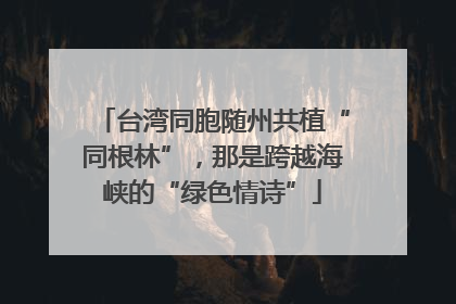 台湾同胞随州共植“同根林”，那是跨越海峡的“绿色情诗”