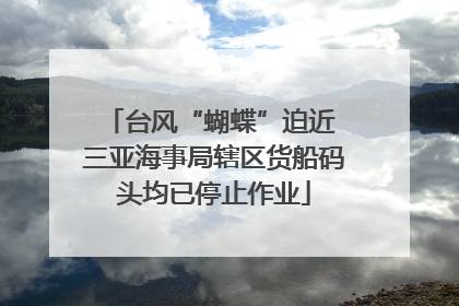 台风“蝴蝶”迫近 三亚海事局辖区货船码头均已停止作业