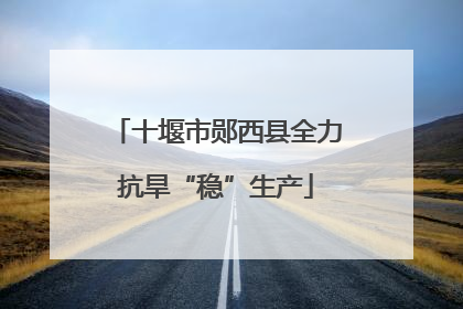 十堰市郧西县全力抗旱“稳”生产