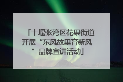 十堰张湾区花果街道开展“东风故里育新风”品牌宣讲活动