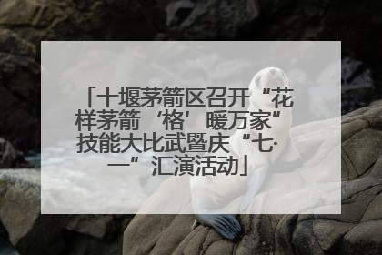 十堰茅箭区召开“花样茅箭‘格’暖万家”技能大比武暨庆“七·一”汇演活动