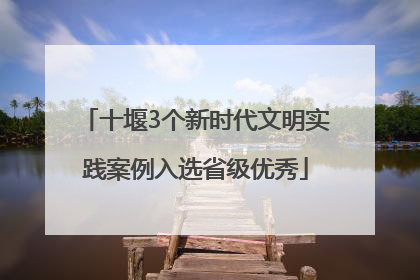十堰3个新时代文明实践案例入选省级优秀