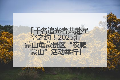 千名追光者共赴星空之约！2025沂蒙山龟蒙景区“夜爬蒙山”活动举行