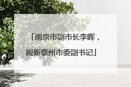 南京市副市长李晖，履新泰州市委副书记