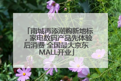 南城再添潮购新地标，家电数码产品先体验后消费 全国最大京东MALL开业