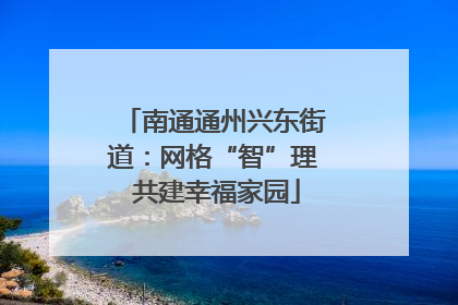 南通通州兴东街道：网格“智”理 共建幸福家园