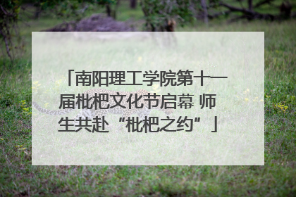 南阳理工学院第十一届枇杷文化节启幕 师生共赴“枇杷之约”