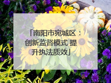 南阳市宛城区：创新监督模式 提升执法质效