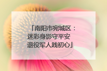 南阳市宛城区：迷彩身影守平安 退役军人践初心