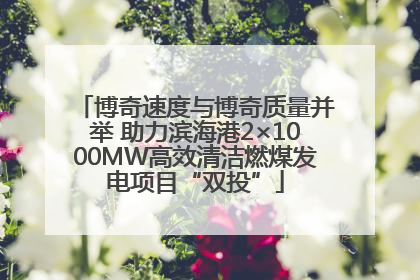 博奇速度与博奇质量并举 助力滨海港2×1000MW高效清洁燃煤发电项目“双投”