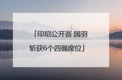 印尼公开赛 国羽斩获6个四强席位