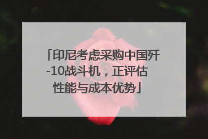 印尼考虑采购中国歼-10战斗机，正评估性能与成本优势