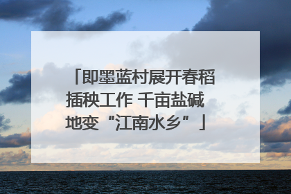 即墨蓝村展开春稻插秧工作 千亩盐碱地变“江南水乡”