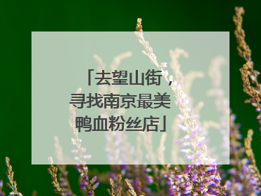 去望山街，寻找南京最美鸭血粉丝店