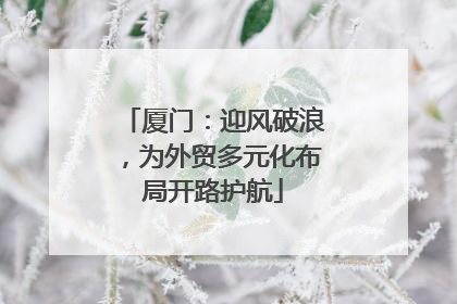 厦门：迎风破浪，为外贸多元化布局开路护航