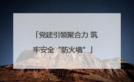 党建引领聚合力 筑牢安全“防火墙”