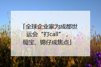 全球企业家为成都世运会“打call”，蜀宝、锦仔成焦点