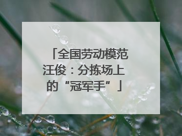 全国劳动模范汪俊：分拣场上的“冠军手”