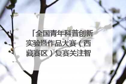 全国青年科普创新实验暨作品大赛（西藏赛区）复赛关注智慧环保等主题