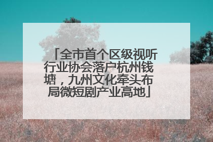 全市首个区级视听行业协会落户杭州钱塘，九州文化牵头布局微短剧产业高地