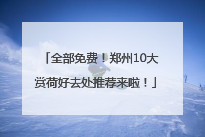 全部免费！郑州10大赏荷好去处推荐来啦！