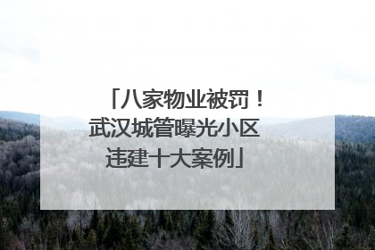 八家物业被罚！武汉城管曝光小区违建十大案例
