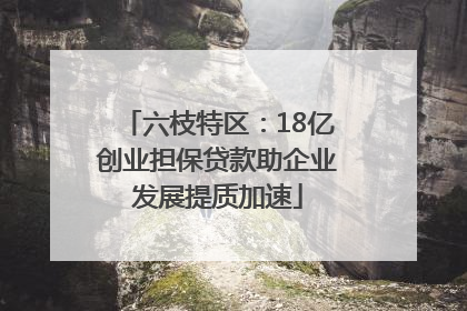 六枝特区：18亿创业担保贷款助企业发展提质加速