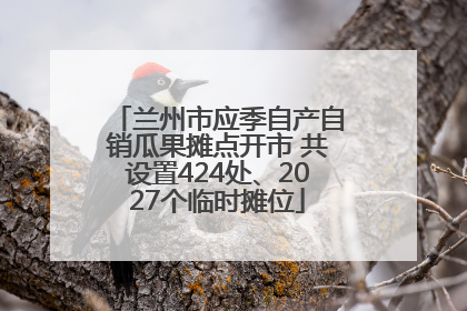兰州市应季自产自销瓜果摊点开市 共设置424处、2027个临时摊位