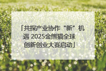 共探产业协作“新”机遇 2025金熊猫全球创新创业大赛启动
