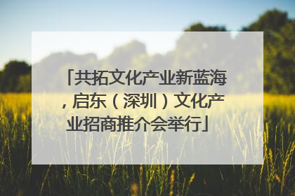 共拓文化产业新蓝海，启东（深圳）文化产业招商推介会举行