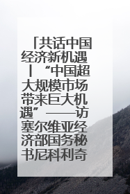 共话中国经济新机遇丨“中国超大规模市场带来巨大机遇”——访塞尔维亚经济部国务秘书尼科利奇