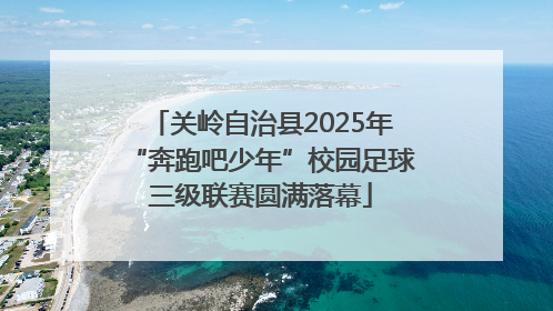 关岭自治县2025年“奔跑吧少年”校园足球三级联赛圆满落幕