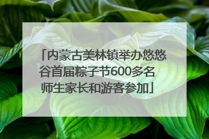 内蒙古美林镇举办悠悠谷首届粽子节600多名师生家长和游客参加