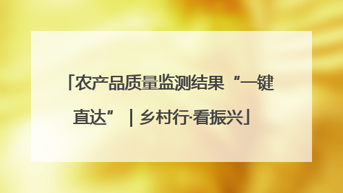 农产品质量监测结果“一键直达”｜乡村行·看振兴