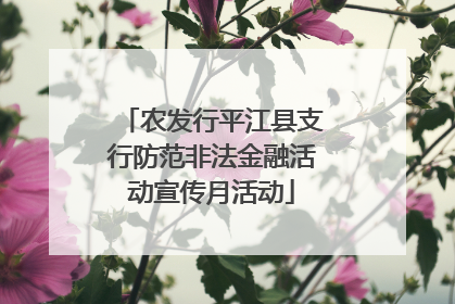 农发行平江县支行防范非法金融活动宣传月活动