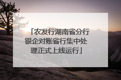 农发行湖南省分行银企对账省行集中处理正式上线运行