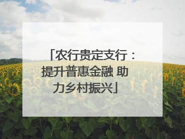 农行贵定支行：提升普惠金融 助力乡村振兴