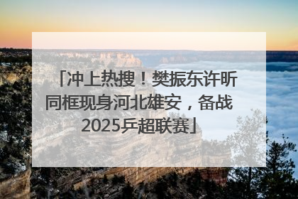 冲上热搜！樊振东许昕同框现身河北雄安，备战2025乒超联赛