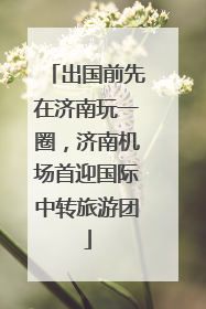 出国前先在济南玩一圈，济南机场首迎国际中转旅游团