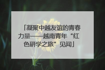 凝聚中越友谊的青春力量——越南青年“红色研学之旅”见闻