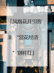 凤凰花开引客来 “赏花经济”别样红