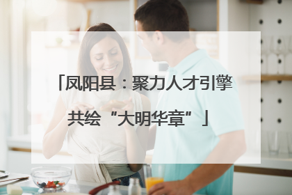 凤阳县：聚力人才引擎 共绘“大明华章”
