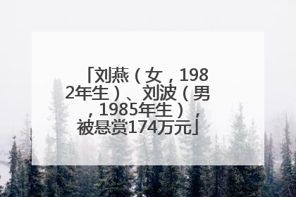 刘燕（女，1982年生）、刘波（男，1985年生），被悬赏174万元