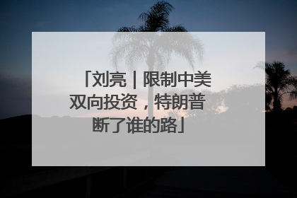 刘亮｜限制中美双向投资，特朗普断了谁的路