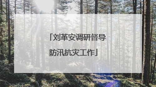 刘革安调研督导防汛抗灾工作